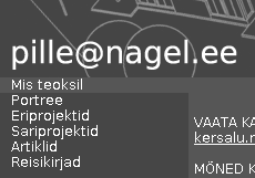 ekraanipilt Pille Nagel lehek&uuml;ljest